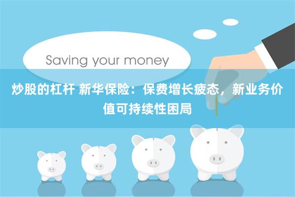 炒股的杠杆 新华保险：保费增长疲态，新业务价值可持续性困局