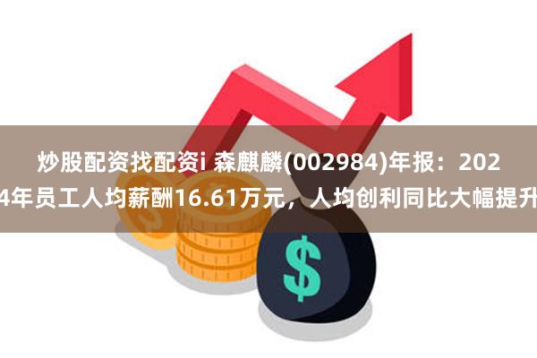 炒股配资找配资i 森麒麟(002984)年报：2024年员工人均薪酬16.61万元，人均创利同比大幅提升