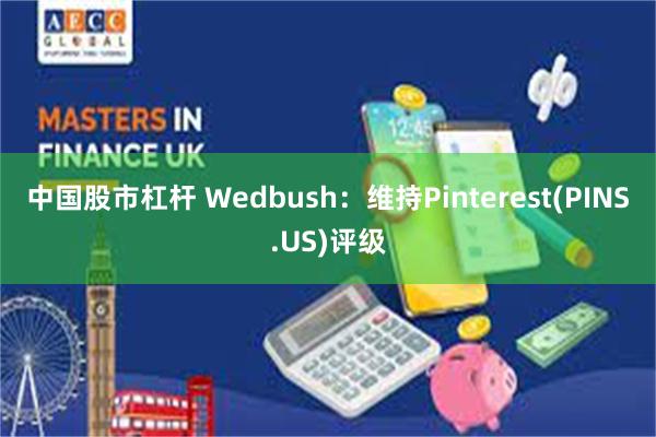 中国股市杠杆 Wedbush：维持Pinterest(PINS.US)评级
