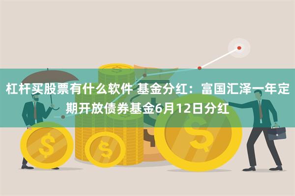 杠杆买股票有什么软件 基金分红：富国汇泽一年定期开放债券基金6月12日分红