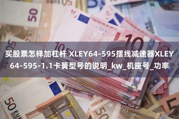 买股票怎样加杠杆 XLEY64-595摆线减速器XLEY64-595-1.1卡簧型号的说明_kw_机座号_功率