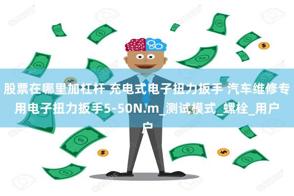 股票在哪里加杠杆 充电式电子扭力扳手 汽车维修专用电子扭力扳手5-50N.m_测试模式_螺栓_用户