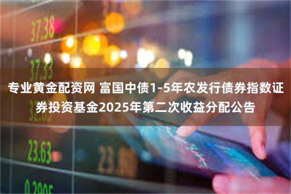 专业黄金配资网 富国中债1-5年农发行债券指数证券投资基金2025年第二次收益分配公告