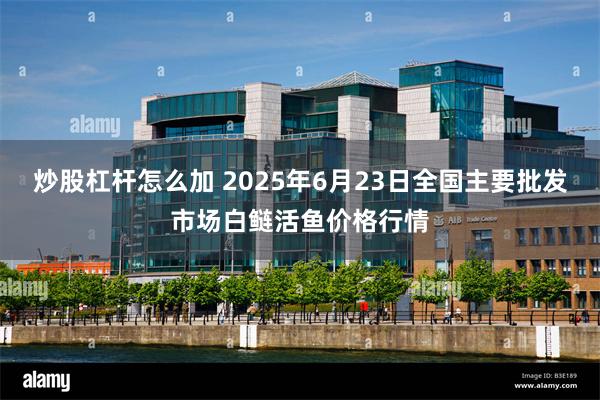 炒股杠杆怎么加 2025年6月23日全国主要批发市场白鲢活鱼价格行情