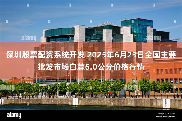 深圳股票配资系统开发 2025年6月23日全国主要批发市场白蒜6.0公分价格行情