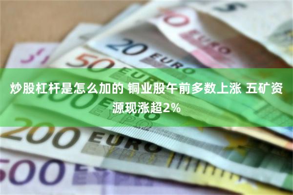 炒股杠杆是怎么加的 铜业股午前多数上涨 五矿资源现涨超2%