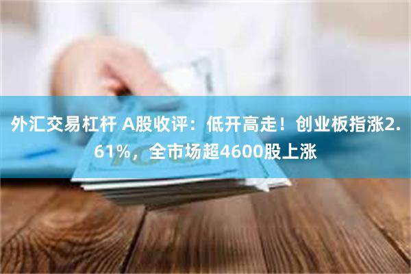 外汇交易杠杆 A股收评：低开高走！创业板指涨2.61%，全市场超4600股上涨