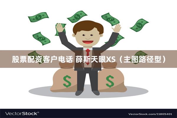 股票配资客户电话 薛斯天眼XS（主图路径型）