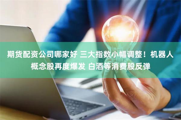 期货配资公司哪家好 三大指数小幅调整！机器人概念股再度爆发 白酒等消费股反弹